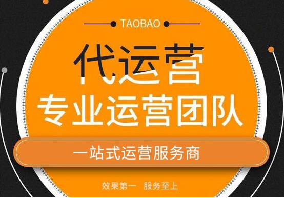 代運營 代運營