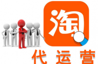 火蝠電商專業的網店托管