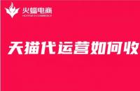 淘寶天貓代運營好做嗎（天貓淘寶代運營公司）