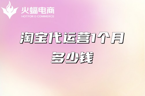 淘寶代運(yùn)營(yíng)1個(gè)月多少錢(qián)